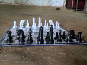 0Brand New Chess With All Things And Manual Under