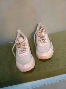Puma Training Shoes