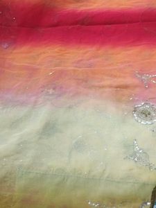 Embroidered multi colored saree