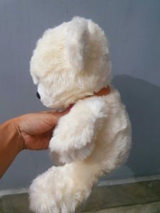 Cute Cream Teddy Bear