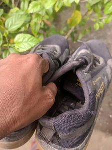 2 shoe Combo Copy Woodland shoes