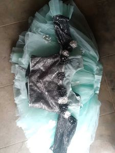 Mint Tulle Skirt with Floral Appliques