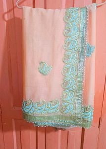 Elegant Embellished Saree