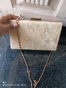 Party Wear Clutch. . Ligt Gold