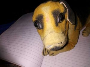 Dog Plush Toy