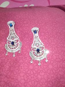 Elegant Silver Drop Earrings