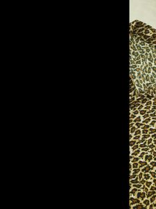 LEOPARD PRINT SHIRT