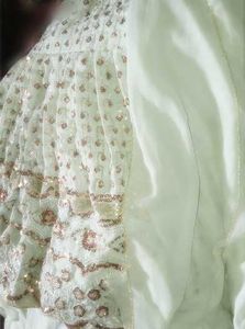 Pastel Green Heavy Embroidered Partywear Dress wit