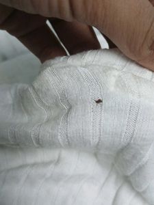 Ribbed Long Sleeve Crop Top