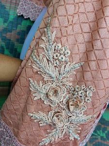 Elegant Peach Saree And Blouse