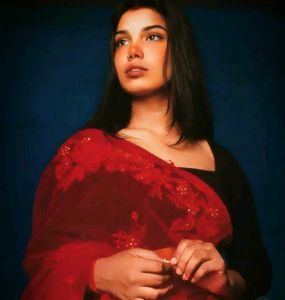 Red Embroidered Net Saree