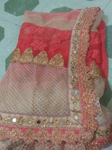 Half Net Sadi With Blause