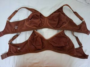 2 Zivame Penny Pure Cotton Bra 38DD