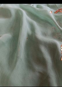 Green Saree with Gold Embroidery