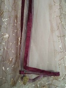 Brand New Lehenga Choli