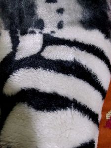 combo set of blankets and puffer jackets