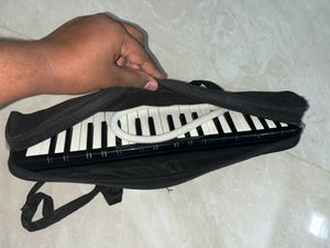 Melodica Keyboard Instrument