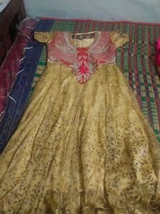 Elegant Ethnic Gown