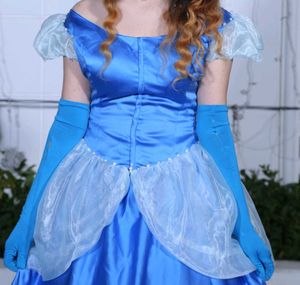 Cinderella Costume Dress