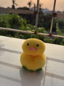Soft Toy