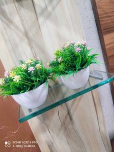 2 Flower Pots