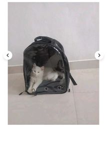 Pet Bag