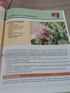 Class 10 CBSE Biology Reference Textbook