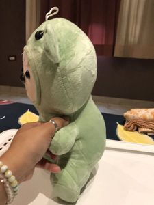 Cute Frog Bear Plush