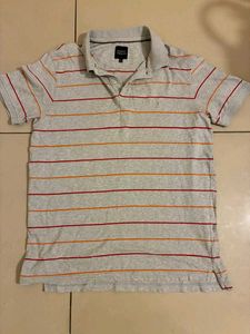 Striped Indian Terrain Polo Shirts