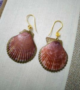 Beautiful Pink Shell Earrings For Women