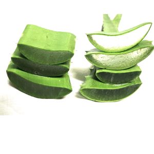 FRESH ALOEVERA , ORGANICALLY GROWN WITHOUT ANY CHEMICALS AND ETC, PURE AND NATURAL