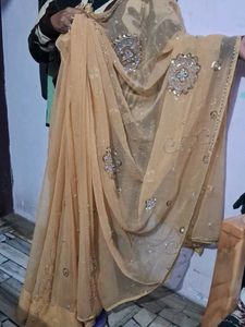 Beautiful Heavy Work Saari With Blouse