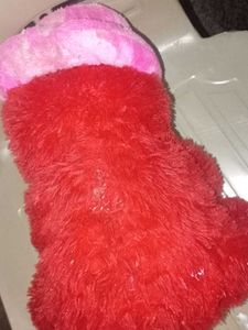 Red Teddy Bear with Pink Heart