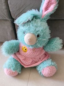 Teddy bear