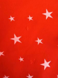 Red Star Print Blouse