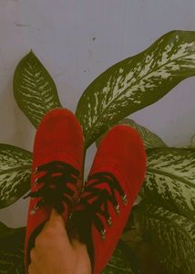 Women&#39;s Heel Boot 👢