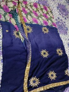 Elegant Embellished Saree