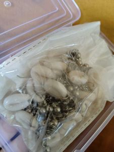 Boho Shell Chain Earring