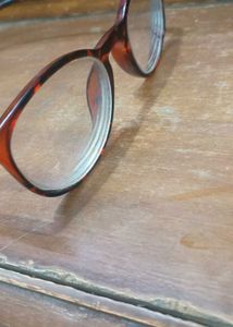 Vintage Tortoise Shell Glasses