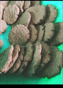 Cow Dung( Used For Plants And Rituals) -Gomatha,Ga