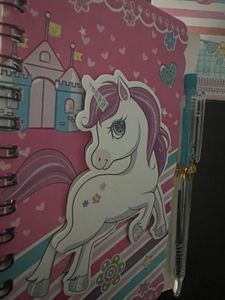 Unicorn Notebooks