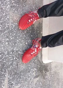 Red Sports Shoes