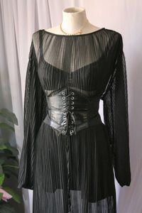 Zara Sheer Black Dress Without Belt