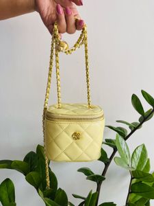 Chic Vanity Case Clutch