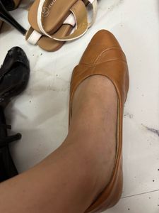 Formal Brown Bellies