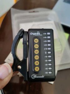 Acoustic guitar With Autotuner And Strings