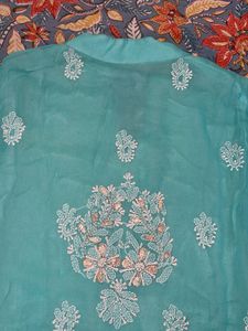 Elegant Pure Chickenkari Kurti