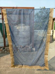 blue  Net Dupatta