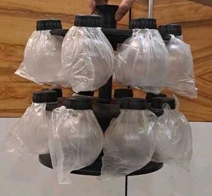 Kitchen Masala STORAGE SET