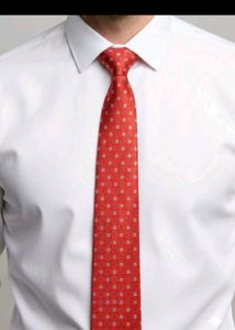 Stylish Red Tie